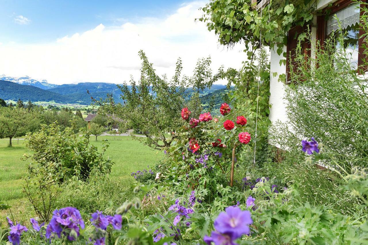 Ferien In Feld 109 Apartment Langenegg ภายนอก รูปภาพ